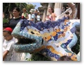 the famous gaudi lizard from the front